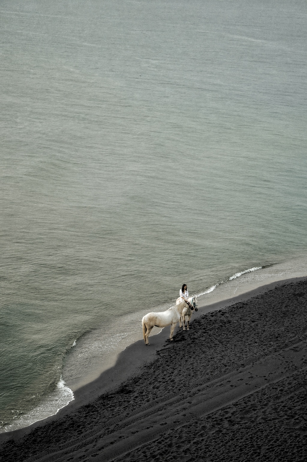 Horseride